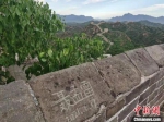 金山岭长城墙上被新刻的字 林强 摄 - 中国新闻社河北分社