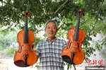 崔法晨制作的小提琴。　刘一鸣 摄 - 中国新闻社河北分社