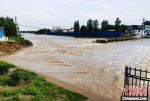 图为被洪水冲断的易县北易水河段易河庄大桥处。　徐巧明 摄 - 中国新闻社河北分社