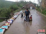 暴雨间歇期间，磁县一线防洪人员紧急处置险情。　齐雄 摄 - 中国新闻社河北分社