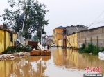 图为街道灌满雨水，彩钢板“飞上树”。　吕子豪 摄 - 中国新闻社河北分社