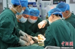 资料图：医院专家为患者做手术。 李桃 摄 - 中国新闻社河北分社