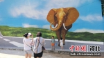 游客在3D墙体画前打卡拍照。 张旭宁 摄 - 中国新闻社河北分社
