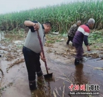 排涝现场。 供图 - 中国新闻社河北分社