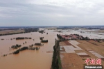 图为无人机拍摄下的漳河行洪情况以及周边农田进水情况。　庞涛 摄 - 中国新闻社河北分社