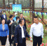 沧州市委副书记、市长向辉一行到运河区观摩。王韬 摄 - 中国新闻社河北分社
