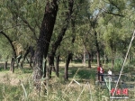 图为市民在沁河郊野公园内游玩。 王天译 摄 - 中国新闻社河北分社