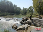 图为游客在沁河郊野公园一条河流旁拍照。 王天译 摄 - 中国新闻社河北分社