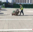 图为巨鹿县新增设的停车位。 徐彪 摄 - 中国新闻社河北分社