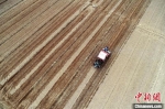 巨鹿县堤村乡孔寨村的农民驾驶农机在田间播种冬小麦(无人机照片)。　胡良川 摄 - 中国新闻社河北分社