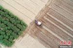 巨鹿县堤村乡孔寨村的农民驾驶农机在田间播种冬小麦(无人机照片)。　胡良川 摄 - 中国新闻社河北分社