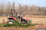 巨鹿县巨鹿镇上疃村的农民驾驶农机在田间耙地为播种冬小麦做准备。　胡良川 摄 - 中国新闻社河北分社