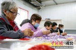 10月28日，河北肃宁县御带河藏红花种植园，工人正在分拣藏红花。刘巨雷摄 - 中国新闻社河北分社