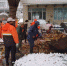 图为平乡县的城管队员们全力清理落叶。李铁锤 摄 - 中国新闻社河北分社