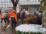 图为平乡县的城管队员们全力清理落叶。李铁锤 摄 - 中国新闻社河北分社