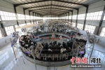 奶牛养殖厂采用自动转盘挤奶机挤奶。刘鹏 摄 - 中国新闻社河北分社