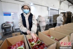 图为河北文安一杂粮加工企业工人正在打包装箱。　王晖 摄 - 中国新闻社河北分社