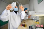 图为河北文安一杂粮加工企业质检人员正在监测红豆沙样品。　王晖 摄 - 中国新闻社河北分社