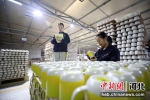 隆尧县一陶瓷生产车间内，员工在检验日用陶瓷产品质量。 陈剑昊 摄 - 中国新闻社河北分社
