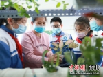 邓庄小学的教师在指导五彩田园社团的孩子们利用无土栽培技术种植植物。 - 中国新闻社河北分社
