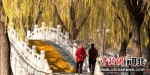 图为游人欣赏公园美景。张洁 摄 - 中国新闻社河北分社