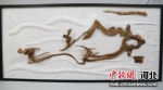 图为根雕作品《驰骋冬奥争上游》。 刘思源 摄 - 中国新闻社河北分社