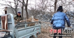 参加公益岗劳动的村民在清理村中垃圾。 李扬 摄 - 中国新闻社河北分社