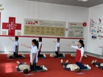 邢台市红十字会探索可复制可推广的红十字生命安全教育模式 - 红十字会