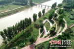 巨鹿县老漳河生态文化公园。(无人机照片) - 中国新闻社河北分社