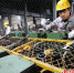 河北欧耐机械模具股份有限公司钢管事业部车间工人奋战在生产一线。 姚友谅 摄 - 中国新闻社河北分社