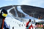 图为游客在崇礼的滑雪场滑雪。　翟羽佳 摄 - 中国新闻社河北分社
