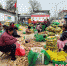 资料图：定兴西陶沈村女村民对红薯进行初加工。 定兴县妇联供图 - 中国新闻社河北分社