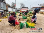 资料图：定兴西陶沈村女村民对红薯进行初加工。 定兴县妇联供图 - 中国新闻社河北分社