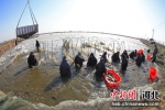 滦南县渔民在进行冬季捕捞。 刘兰新 摄 - 中国新闻社河北分社