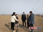 农技人员在武强县北代乡杜林村进行田间指导。 供图 - 中国新闻社河北分社
