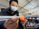 图为技术员正在用照蛋器检验鸡蛋品质。 郑晨子 摄 - 中国新闻社河北分社