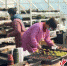 工人们分类打包多肉盆栽。 王鑫 摄 - 中国新闻社河北分社