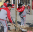 临西县小学生在浇灌树木。 何连斌 摄 - 中国新闻社河北分社