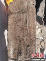 内丘发现的唐代“七级浮图”造像石刻。　石晓鹏 摄 - 中国新闻社河北分社