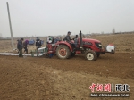 农户们正在忙着播种。 白月 摄 - 中国新闻社河北分社