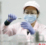 图为3月28日在河北省固安县工业园一家生物工程企业生产车间，工作人员正对试纸进行打包组装。 吴迪 摄 - 中国新闻社河北分社