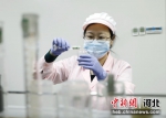 图为3月28日在河北省固安县工业园一家生物工程企业生产车间，工作人员正对试纸进行打包组装。 吴迪 摄 - 中国新闻社河北分社