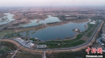 邯郸市永年区总投资3.3亿元建设的洺湖生态湿地公园。　陈建莎 摄 - 中国新闻社河北分社