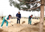 习近平在参加首都义务植树活动时强调：全社会都做生态文明建设的实践者推动者 让祖国天更蓝山更绿水更清生态环境更美好 - 审计厅