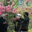 在河北唐山，人们走出家门，在公园里赏花拍照。　赵亮 摄 - 中国新闻社河北分社