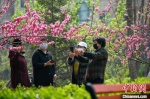 在河北唐山，人们走出家门，在公园里赏花拍照。　赵亮 摄 - 中国新闻社河北分社