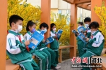 学生在校园文化长廊上阅读书籍。 郝云崎 摄 - 中国新闻社河北分社