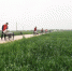 图为景县植保无人机操作员正在给无人机灌装农药。　高雷 摄 - 中国新闻社河北分社