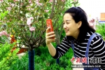 市民在公园赏花拍照。 王岩岩 摄 - 中国新闻社河北分社