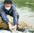 图为廊坊市安次区龙河人工湿地工作人员正在取样。　刘建斌 摄 - 中国新闻社河北分社